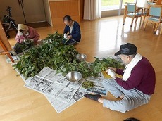 c2014.10.6 1.jpg